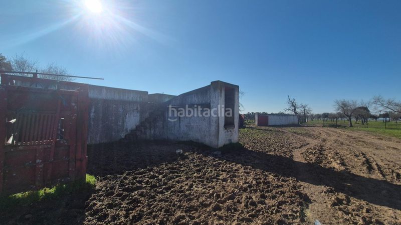 Foto 423fba9e-d685-43e0-a13b-84c7ad437edd. Finca rústica a Carrascal del Obispo