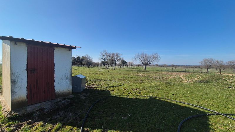 Foto 70d9279d-1486-411f-82e6-690ec7c5f8f7. Finca rústica a Carrascal del Obispo