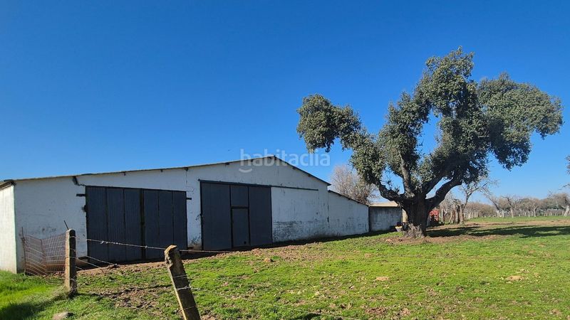 Foto 71b28cea-d369-465f-bf00-ebec810cc672. Finca rústica a Carrascal del Obispo
