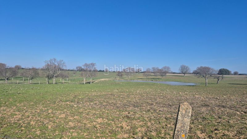 Foto 83556658-f95b-4140-9916-e67dd79d2001. Finca rústica a Carrascal del Obispo