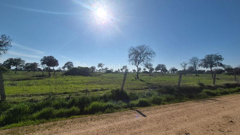 Foto 909a8980-3a99-4465-8f91-8f8c86272978. Finca rústica a Carrascal del Obispo