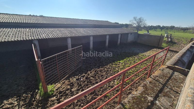 Foto 933de4d7-ef62-43b1-8c90-5aa907a32698. Finca rústica a Carrascal del Obispo