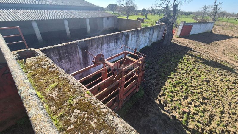 Foto 9a9393b9-68df-4598-9ae2-d8a4d08f5690. Finca rústica a Carrascal del Obispo