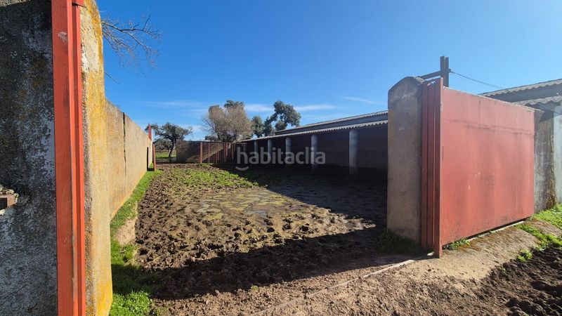 Foto 9ee6c306-1ff8-43d9-9724-22bd844c7cd6. Finca rústica a Carrascal del Obispo