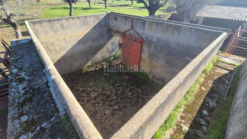 Foto a38e9b6e-b9d9-46e6-b3f7-2653916252b6. Finca rústica a Carrascal del Obispo