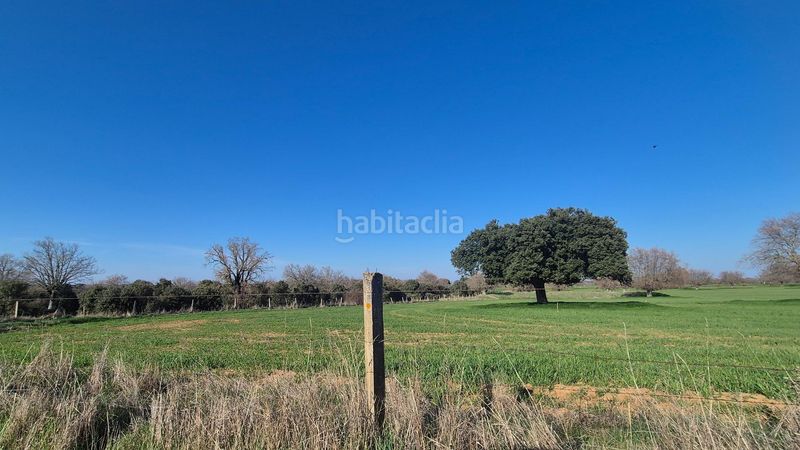 Foto a7f1dc91-d686-44ff-a9be-14e3dd5bb33c. Finca rústica a Carrascal del Obispo