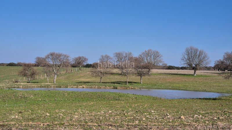 Foto b2e304df-1f87-4528-833d-ad5e45d4a361. Finca rústica a Carrascal del Obispo