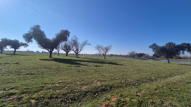 Foto b67d8c71-8add-42b6-81d5-66c0dbd53f2f. Finca rústica a Carrascal del Obispo