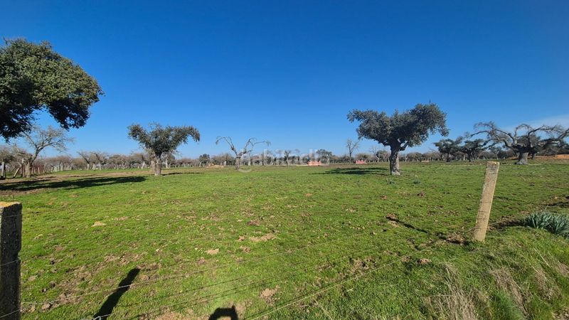 Foto b9156856-44f4-4aef-a456-9d03f7edf50f. Finca rústica a Carrascal del Obispo