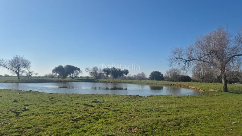 Foto c04757be-69d4-41bf-99db-b1c0a69a0849. Finca rústica a Carrascal del Obispo