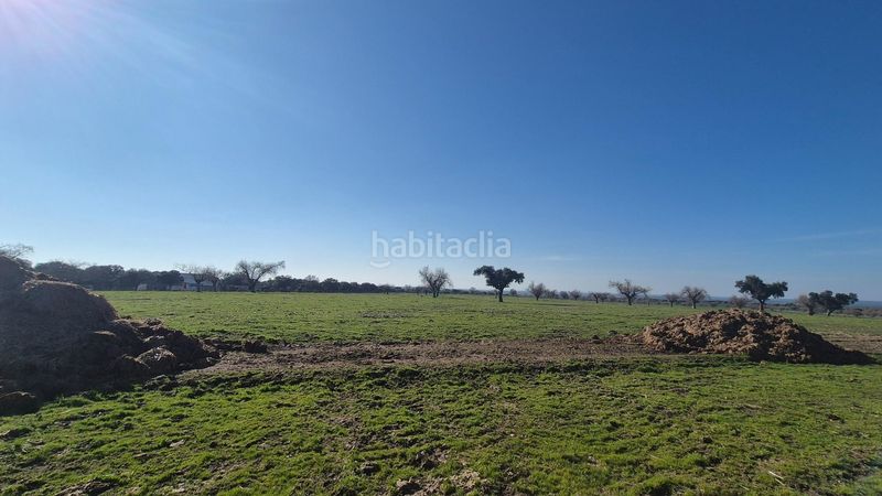 Foto c5e4421f-ddc2-4d82-97d6-de317d99723f. Finca rústica a Carrascal del Obispo