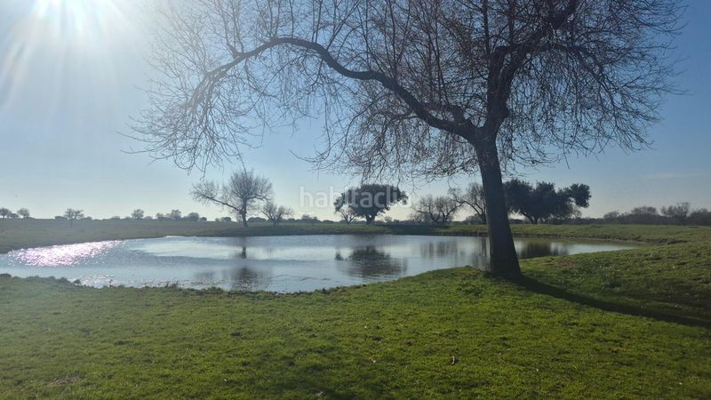 Foto ce513fff-316d-46f4-b1e9-fa130db06c46. Finca rústica a Carrascal del Obispo