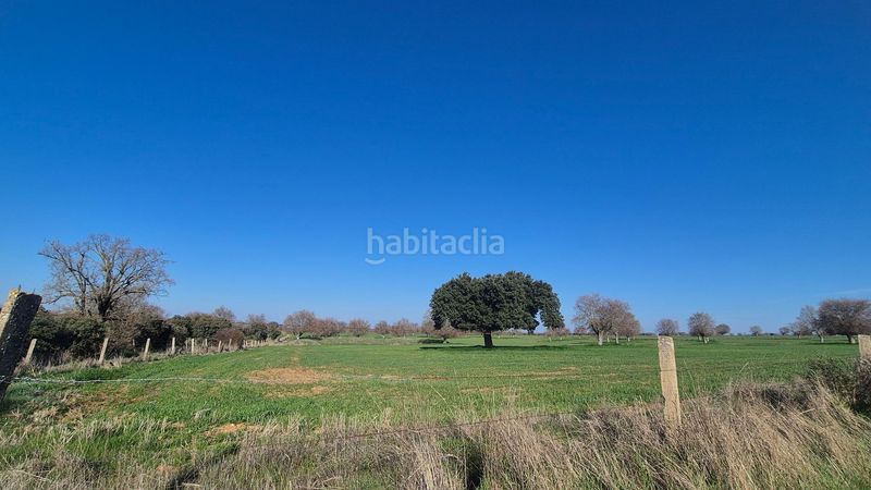 Foto d44c0ed6-120b-4498-be43-0b89102682b1. Finca rústica a Carrascal del Obispo