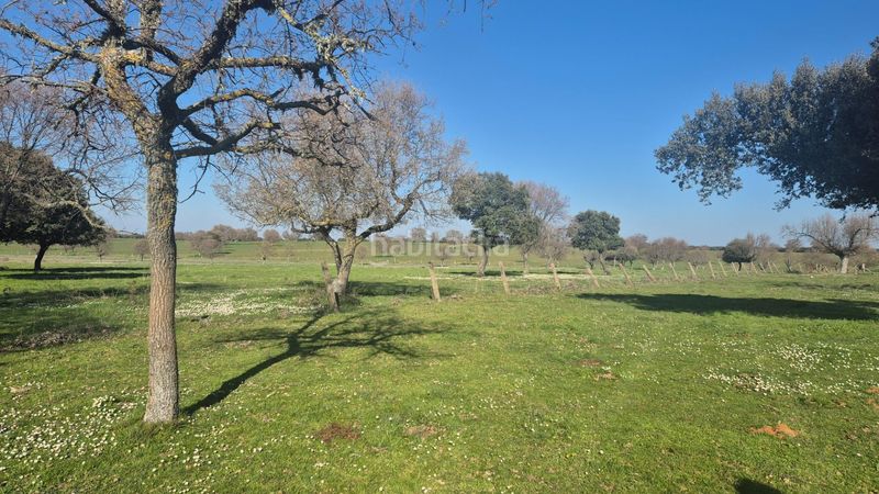 Foto d759bb74-03bf-4b56-b7d1-342237b37b9e. Finca rústica a Carrascal del Obispo