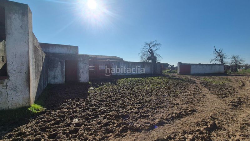 Foto e0e325f2-13f9-4651-ba0c-55181ed9e3ca. Finca rústica a Carrascal del Obispo