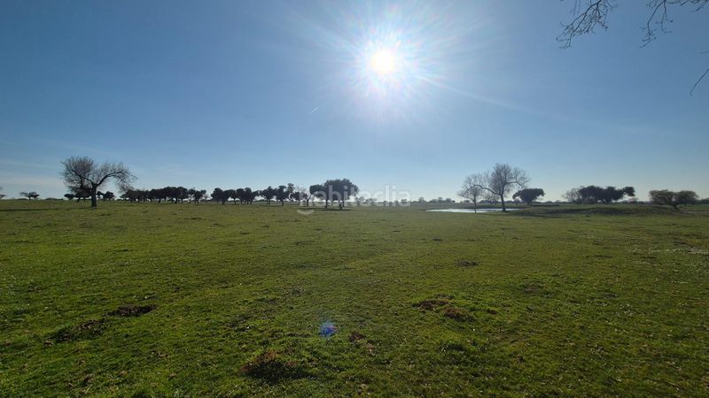 Foto e13bd8f6-a1a4-4a95-a220-a0b59e9306fb. Finca rústica a Carrascal del Obispo