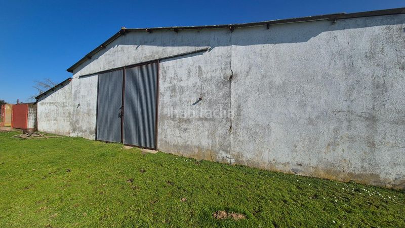 Foto e1ddd44e-8bba-45b6-84c6-f0e352964345. Finca rústica a Carrascal del Obispo