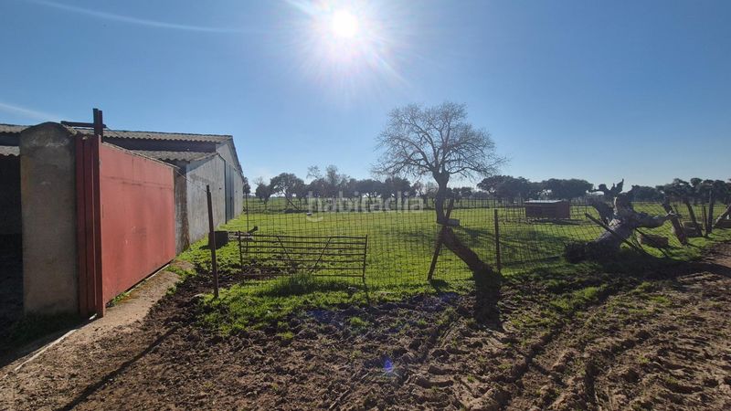 Foto e2ff6141-4c52-4b56-a679-7b8c6f4cb6e3. Finca rústica a Carrascal del Obispo
