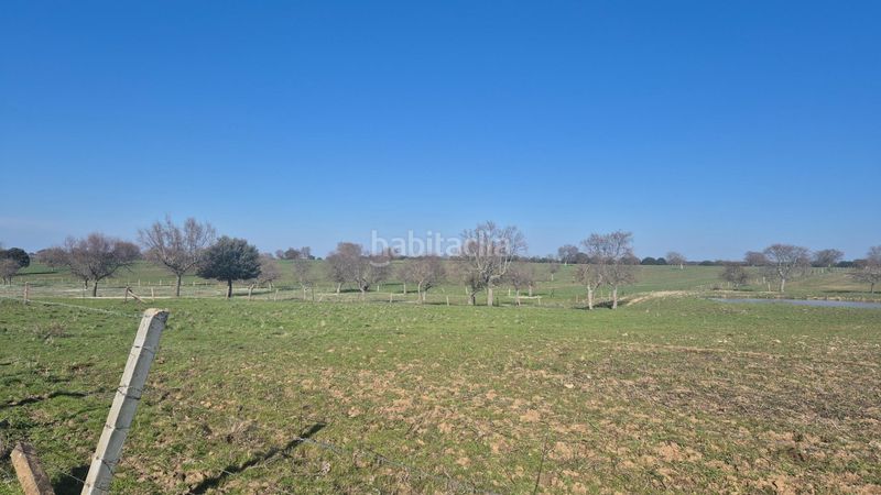 Foto e41c8e0a-4f21-4450-9e97-2c83022658f4. Finca rústica a Carrascal del Obispo