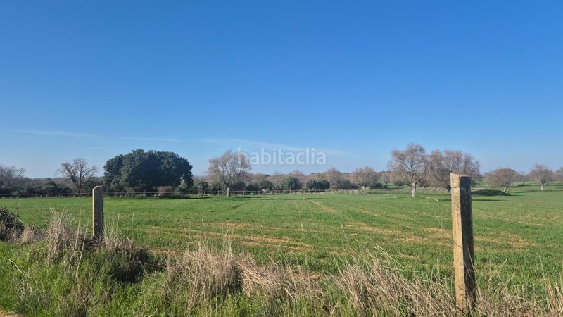 Foto eac76d27-18ea-4e61-b7d1-7a0159255616. Finca rústica a Carrascal del Obispo