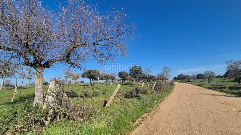 Foto f009398e-3f77-4f42-828b-d81301b363d4. Finca rústica a Carrascal del Obispo