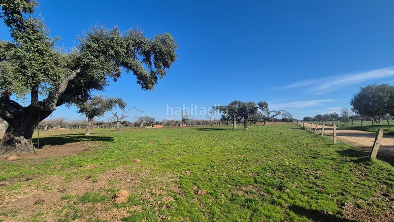 Foto f7e37504-f7c3-48bd-92fb-500f1af32e98. Finca rústica a Carrascal del Obispo