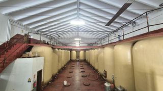 Geschäftsraum in Pereña de la Ribera. Bodega venta pereña de la ribera. urbis te ofrece una bodega en