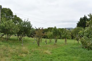 Terreny residencial a Santillana del Mar