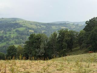 Haus in Selaya. Venta de cabaña en selaya