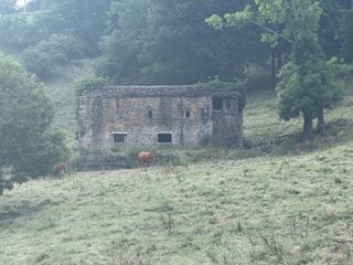 Casa in Selaya. Venta de cabaña en selaya