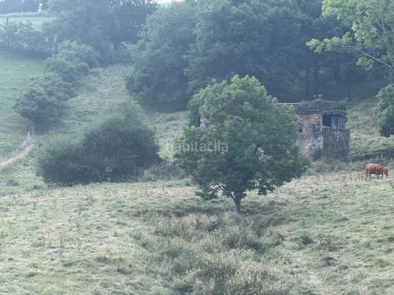 Foto b13f60ab-cf1a-451f-a999-e72745149868. Casa venta de cabaña en Selaya