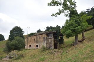 Maison à Selaya. Venta de cabaña en selaya