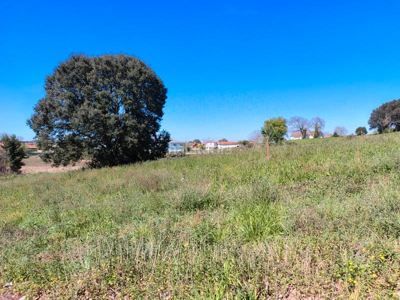 Foto 7424c9e5-87bc-4998-981c-71502ab33030. Casa a calle calabazas 15 a Suesa Ribamontán al Mar