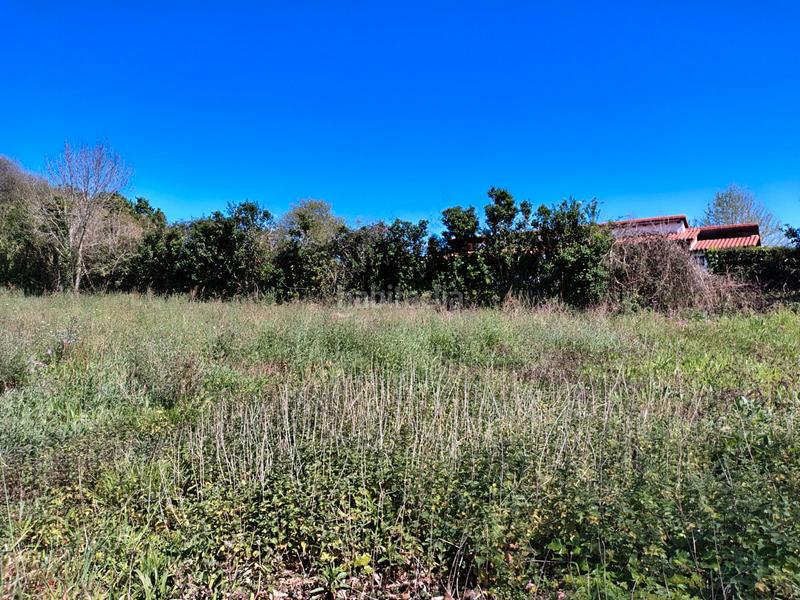 Foto f01a93d0-2c2a-4a7e-ab88-6199ebd48989. Casa a calle calabazas 15 a Suesa Ribamontán al Mar