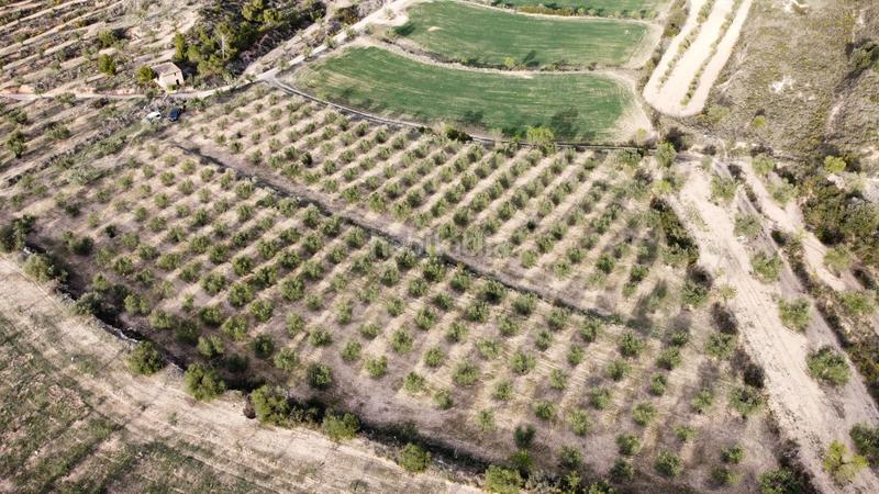 Foto 1fd32f14-4160-46a1-9a2f-d5f78f3e6e18. Finca rústica a Borges Blanques (Les)