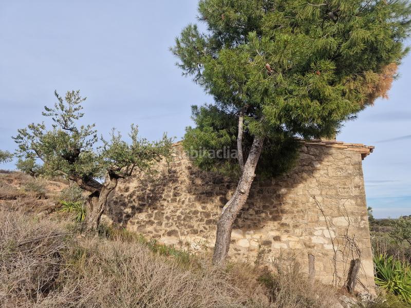 Foto 2cce7b04-95f0-4020-800e-521800ae5733. Finca rústica a Borges Blanques (Les)