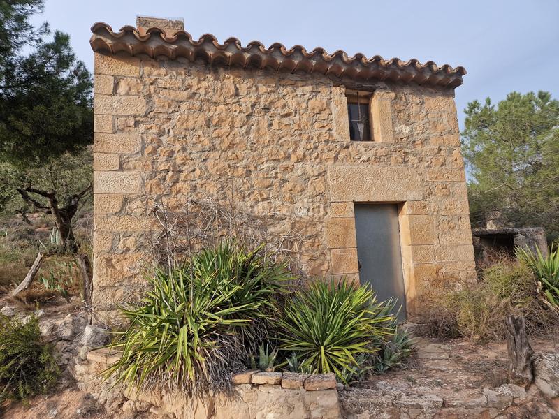 Foto 52ba4f45-6681-4c08-a6a0-f505195f9ad3. Finca rústica a Borges Blanques (Les)