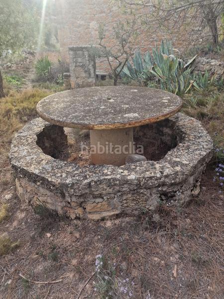 Foto 5654dca4-46bf-43e4-9ebf-2c8ee5fd2693. Finca rústica a Borges Blanques (Les)