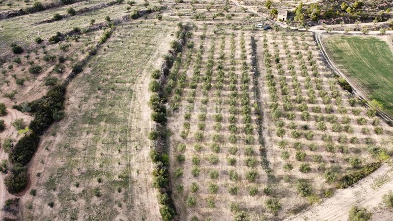 Foto 442cfb8e-7cfa-4843-9b91-d4370a6926ff. Finca rústica en Borges Blanques (Les)