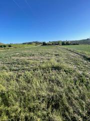 Finca rústica a Puiggròs. En venda finca de 8997m2 de regadiu a puiggros