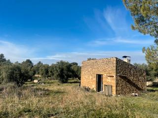 Finca rústica a Cervià de les Garrigues. En venda finca rústica de regadiu amb oliveres i cabana de pedra