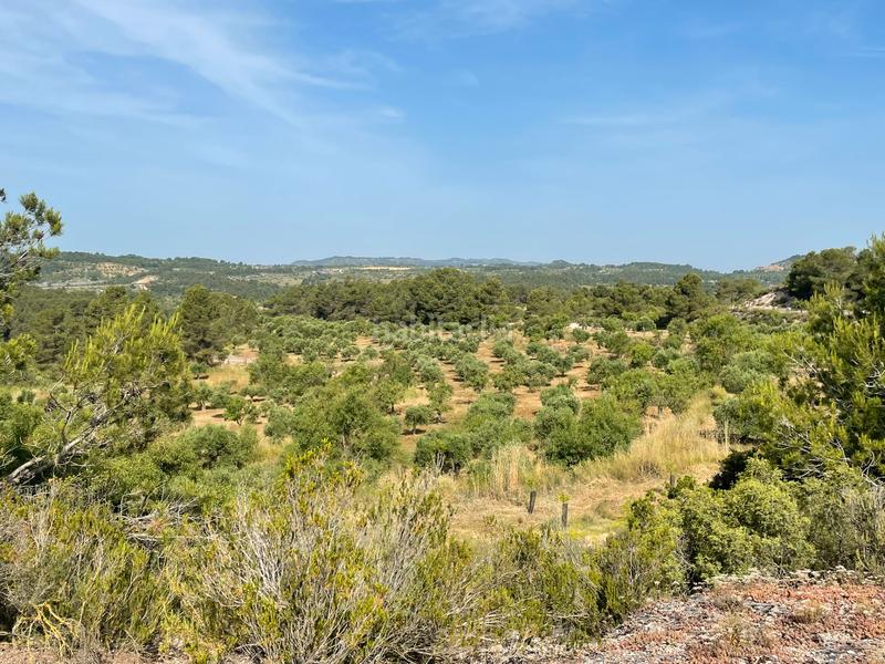 Foto d11883e9-e398-4731-b377-7c5e365eae53. Fondo rustico in Vinaixa