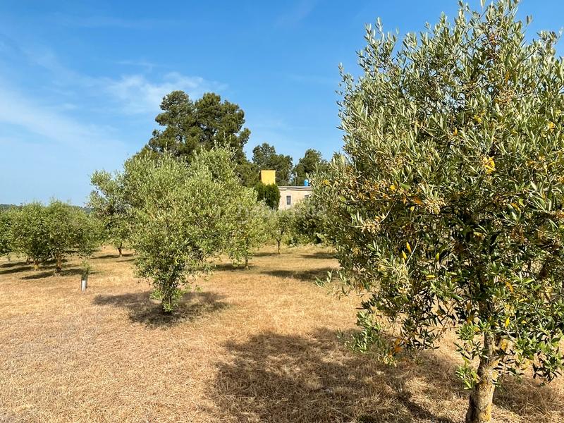 Foto dab1fcab-0cb8-4a42-9141-70b99b680163. Fondo rustico in Vinaixa