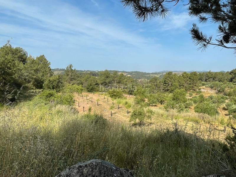 Foto e1691fe8-558a-492d-9cf5-90857c972340. Fondo rustico in Vinaixa