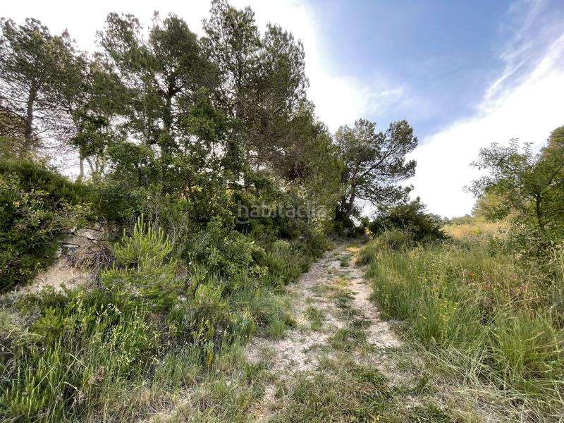 Foto e30de6fe-5eae-4325-b135-659536de17f5. Fondo rustico in Vinaixa