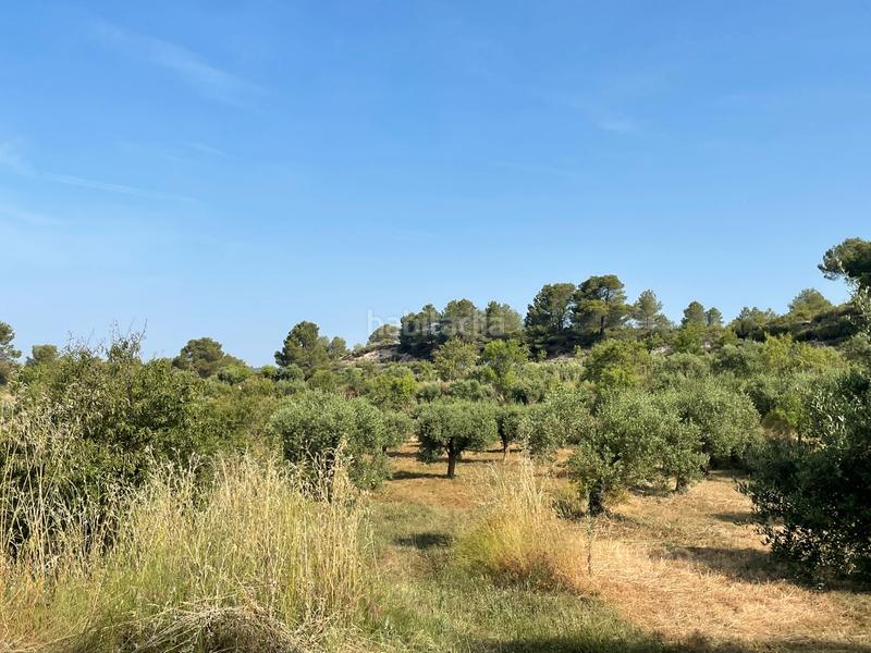 Foto f9a47a08-0f92-4f95-b6de-781ae2877cc3. Fondo rustico in Vinaixa