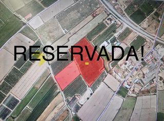 Rural plot in Borges Blanques (Les). Finca de regadiu (canal d'urgell) plantada de fruiters