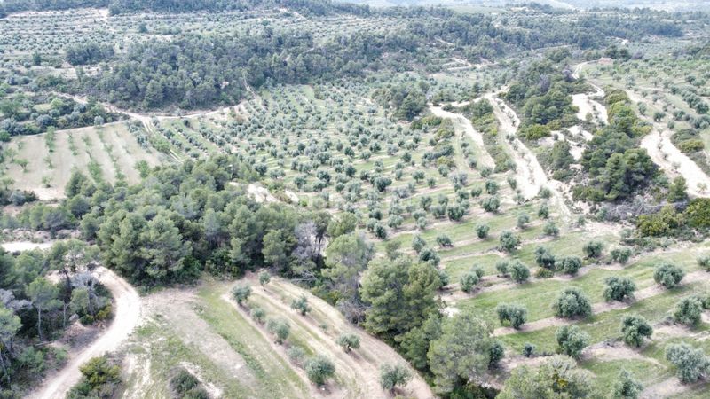 Foto adb34e16-58c7-4c75-816f-a7da3ee2a739. Propriété dans Juncosa