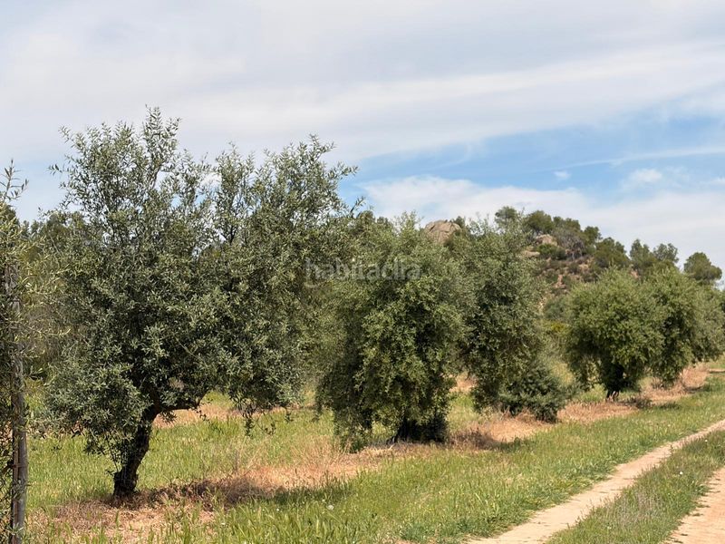 Foto b60ad18e-b8cd-4687-a45a-e61dbd2a12a0. Propriété dans Juncosa