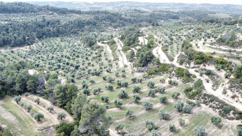 Foto c1689e9e-4b51-4983-92e2-8d6a5bf04e32. Propriété dans Juncosa
